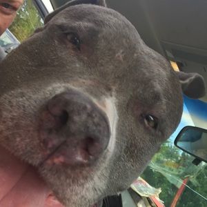 Meet your Posher, January